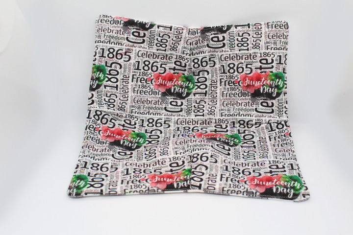Texas 1865-Freedom Large Plate Cozy