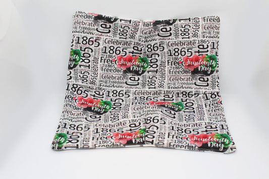 Texas 1865-Freedom Large Plate Cozy